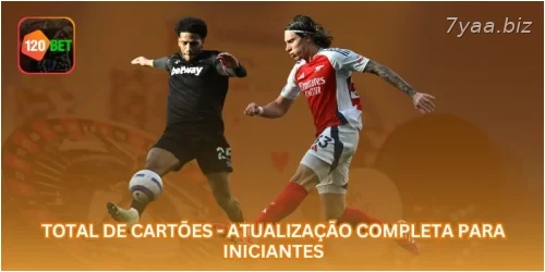 Total de Cartões - Atualização Completa para Iniciantes
